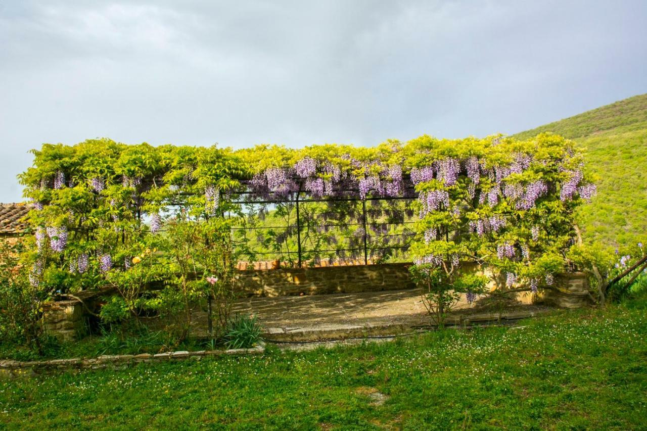 Borgo Solamore Hotel Cortona Exterior foto